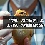 “绿色”力量狂飙！上工机械“绿色植桩设备”护航超级工程！（图3）