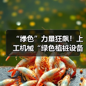 “绿色”力量狂飙！上工机械“绿色植桩设备”护航超级工程！（图2）