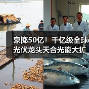 豪掷50亿！千亿级全球光伏龙头天合光能大扩产（图2）