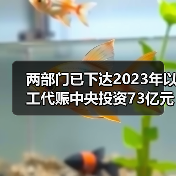 两部门已下达2023年以工代赈中央投资73亿元！
