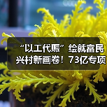 “以工代赈”绘就富民兴村新画卷！73亿专项投资已下达