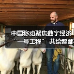 中国移动聚焦数字经济“一号工程” 共绘赣鄱“精彩画卷”（图3）