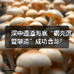 深中通道海底“钢壳沉管隧道”成功合龙！（图2）