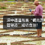 深中通道海底“钢壳沉管隧道”成功合龙！（图3）