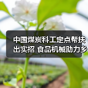 中国煤炭科工定点帮扶出实招 食品机械助力乡村振兴见实效（图2）