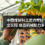 中国煤炭科工定点帮扶出实招 食品机械助力乡村振兴见实效（图3）