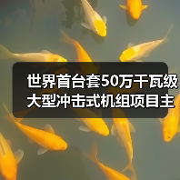 世界首台套50万千瓦级大型冲击式机组项目主体工程开工