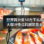 世界首台套50万千瓦级大型冲击式机组项目主体工程开工（图2）